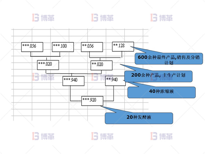 N公司產品結構 制藥行業計劃預測流程優化案例 N公司產品結構